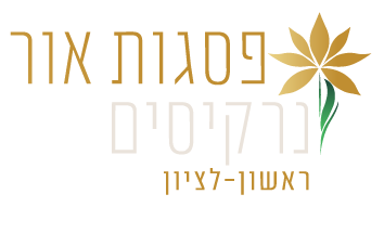 Narkisim-Logo
